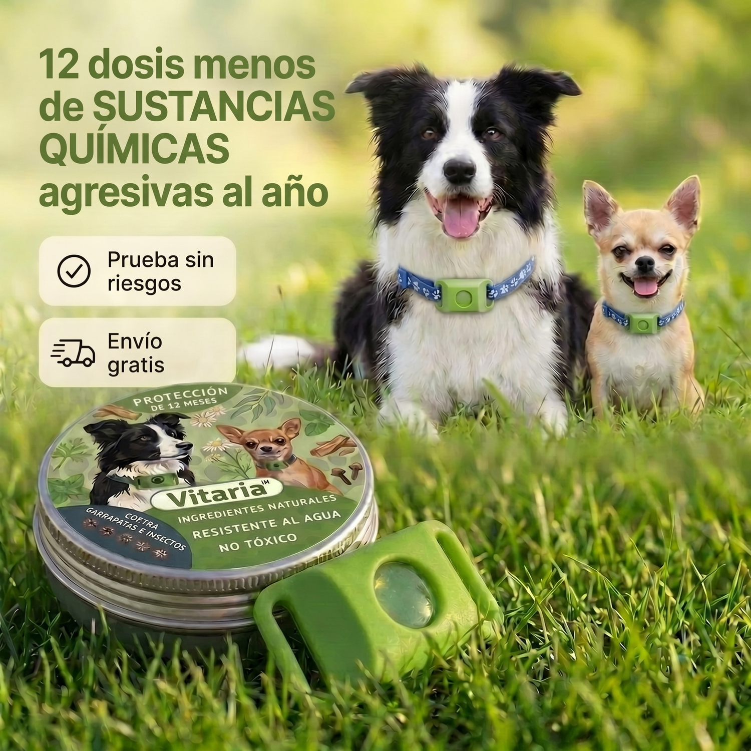 Colgante Vitaria™ - 12 meses de protección natural para perros